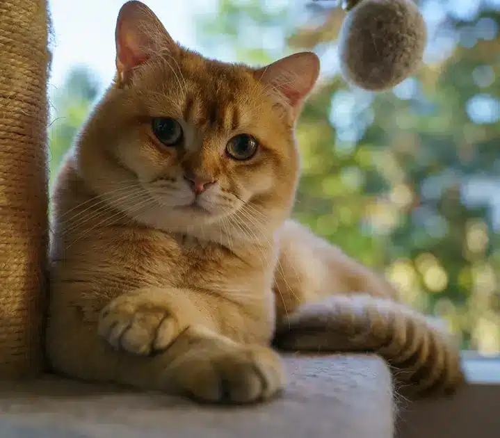 DSC06655
